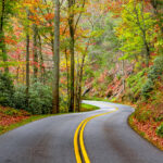 Why You Should Check Your Radiator Hose Before Fall Road Trips