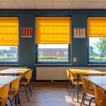 Enhancing the Learning Environment: A Guide to Professional Fenestration in Education