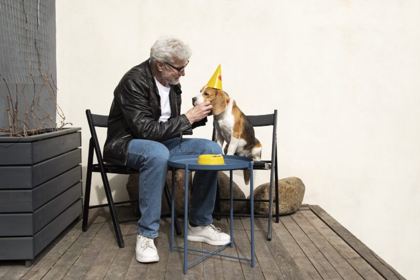 Growing Into the Space: Preparing a Home for Life With a Saint Bernard Puppy